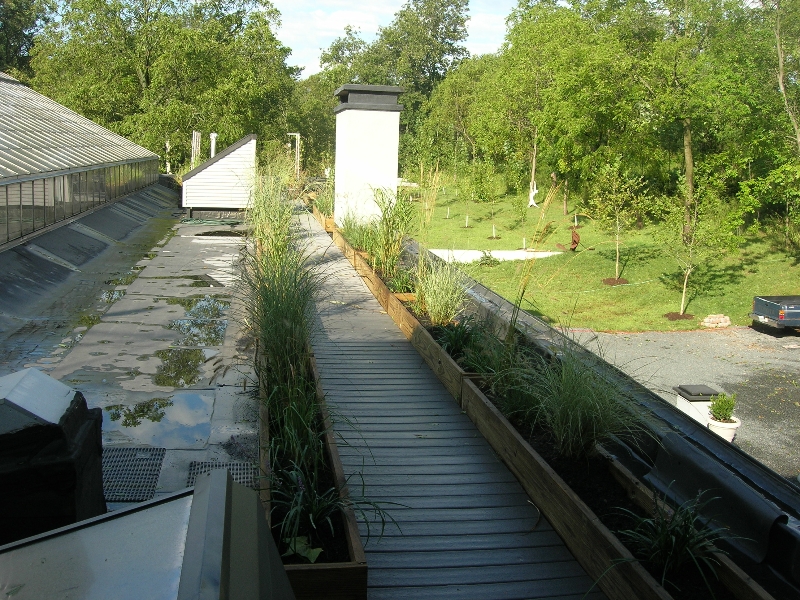 roof-landscaping-and-boardwalk-to-roof-patio